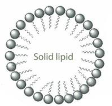 DS-HydroCeramide 50(圖1)